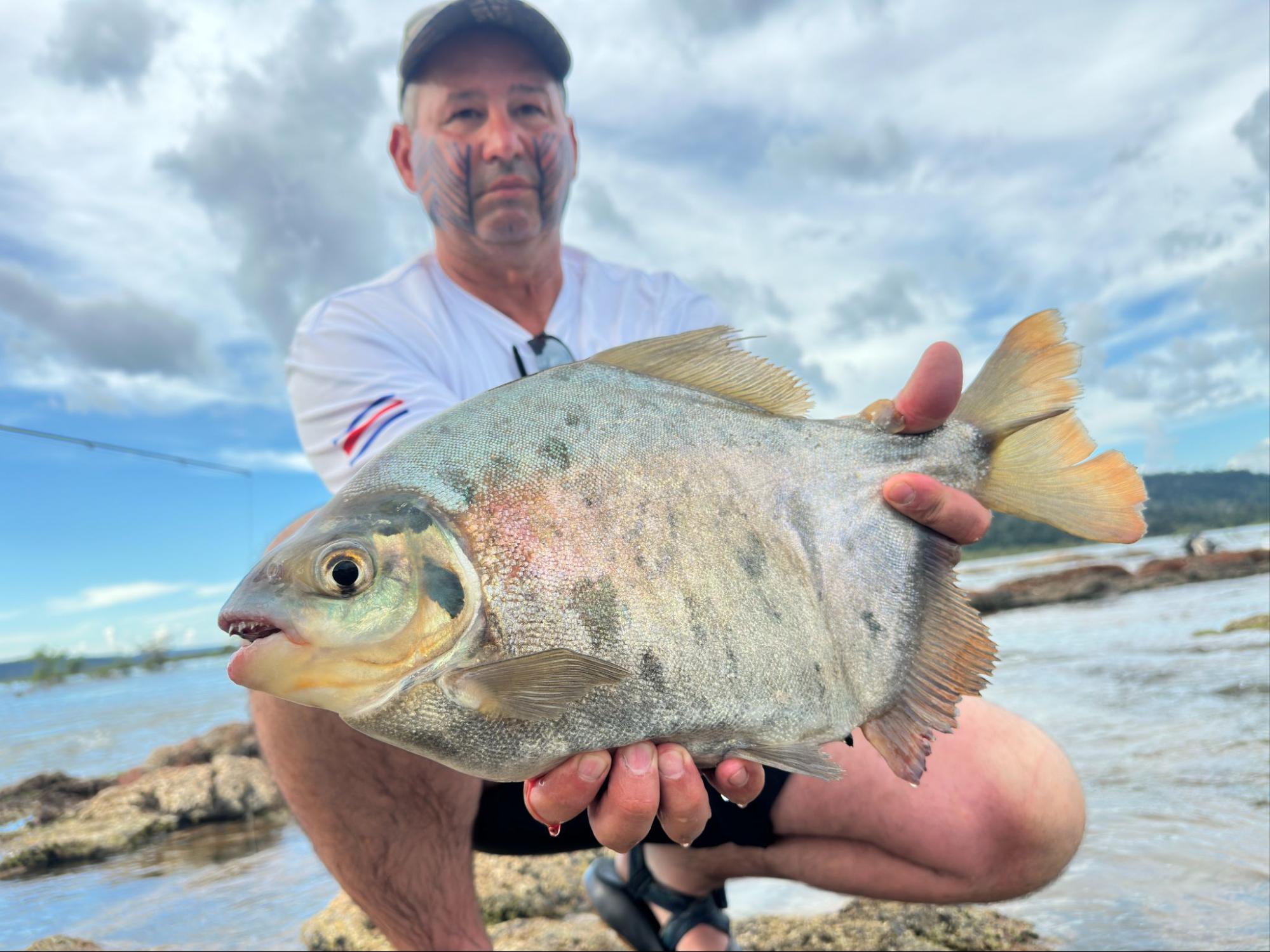 Pacu capturado durante uma pescaria